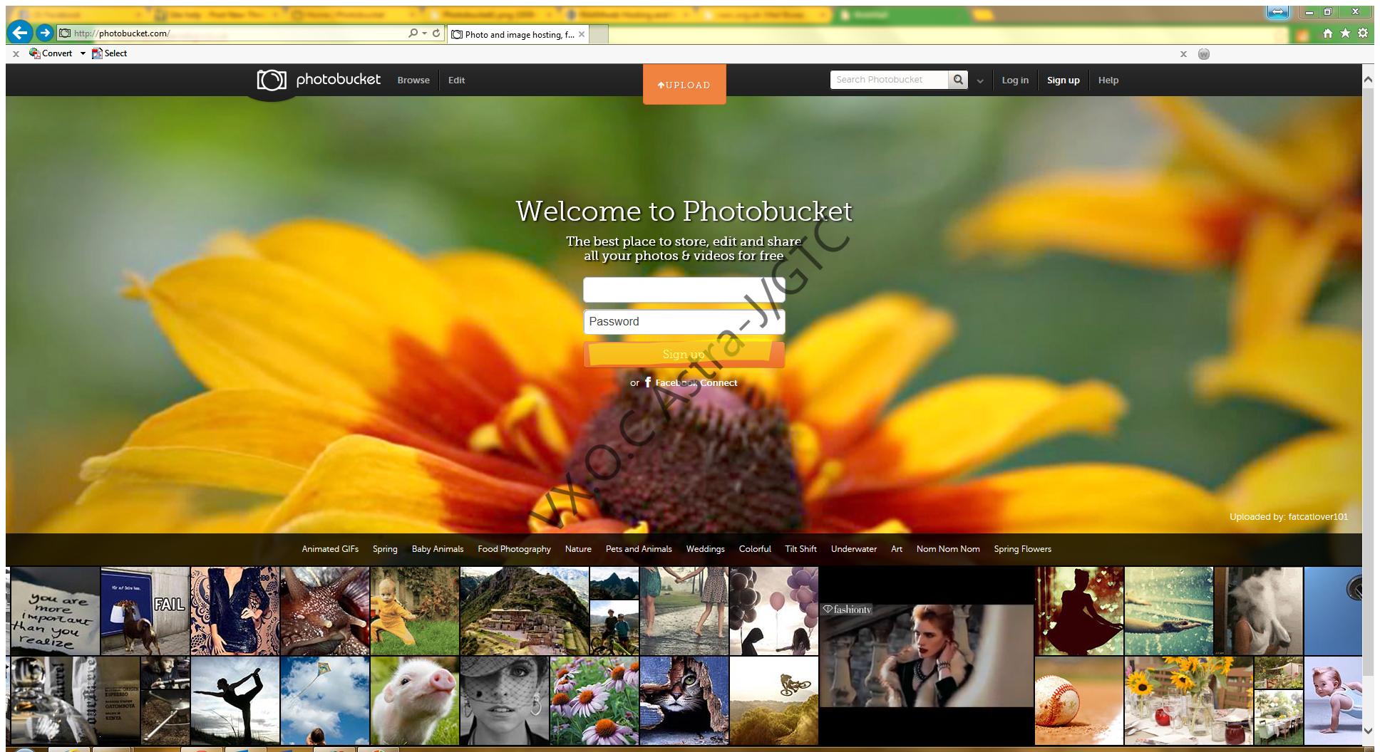 [Image: Photobucket.png]