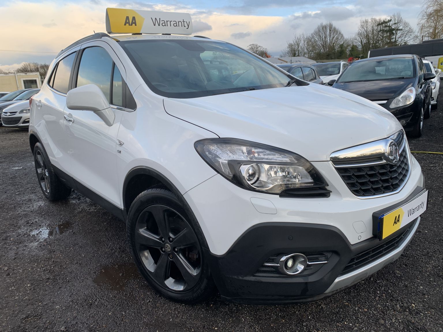 [Image: mokka%201.jpg]