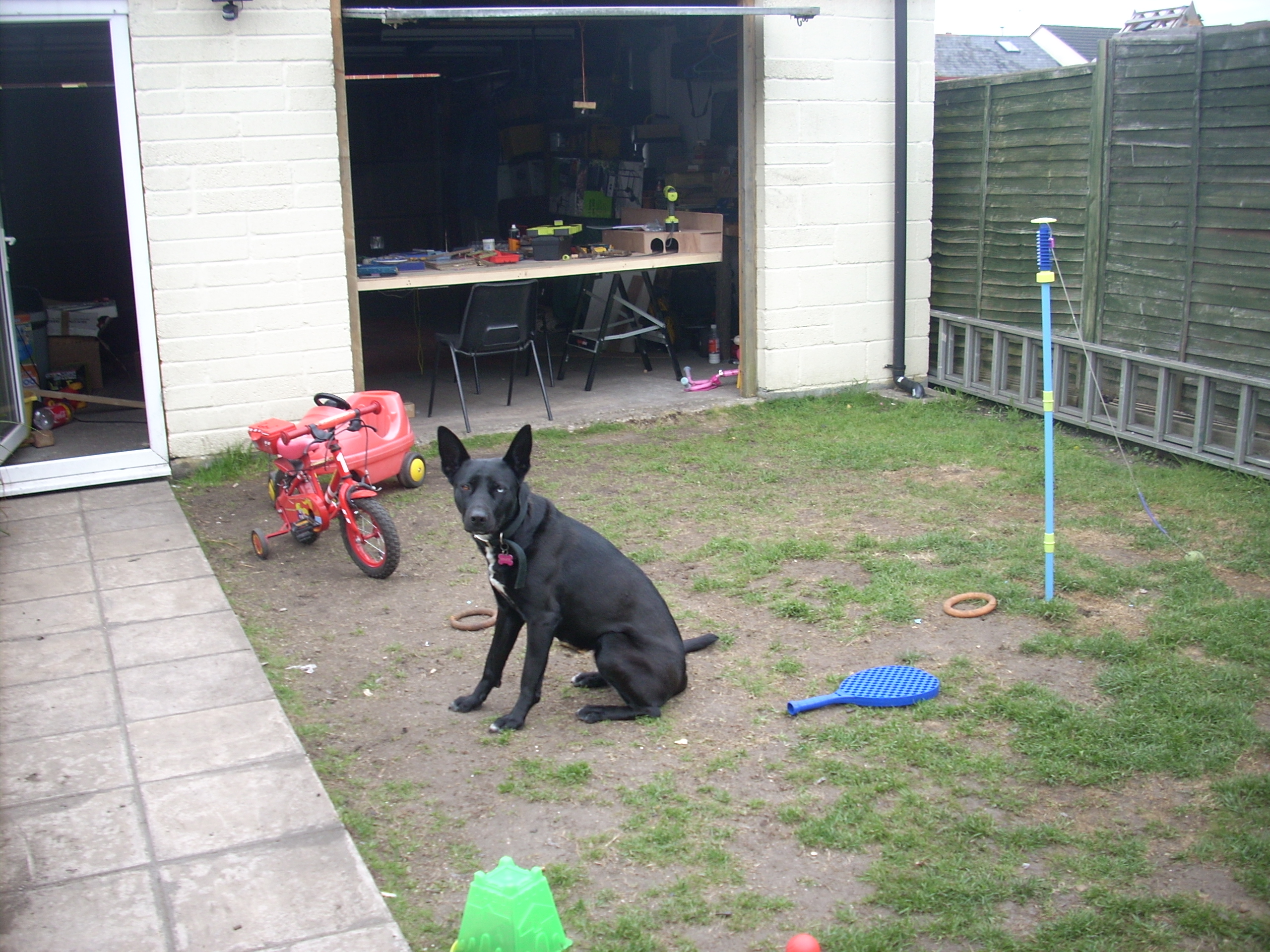 [Image: DSCN2807.JPG]