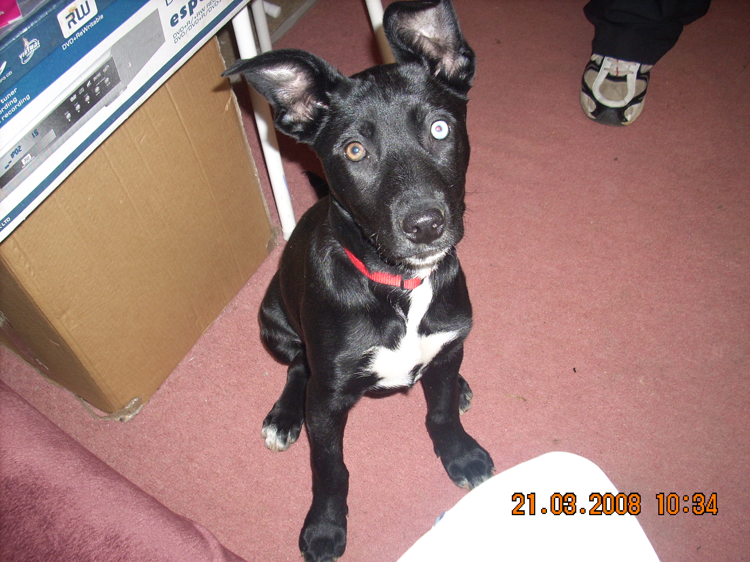 [Image: Picture%20128.jpg]